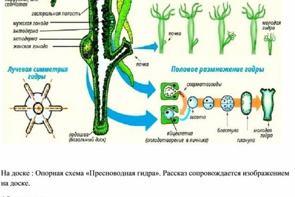 Кракен верное зеркало